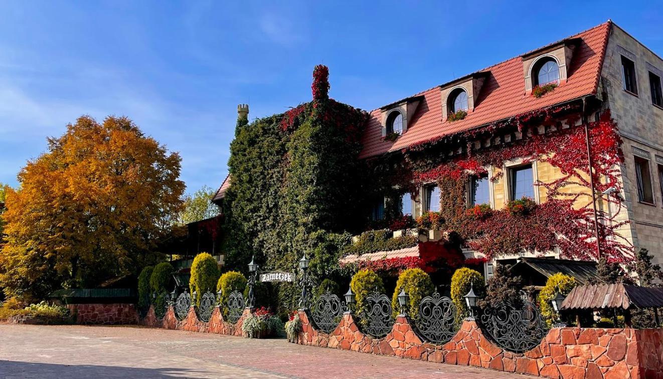 Hotel Zameczek Książ Wielki المظهر الخارجي الصورة